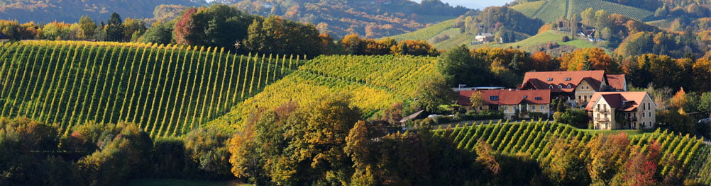 La Styrie, une zone de choix en Autriche pour le Sauvignon Blanc