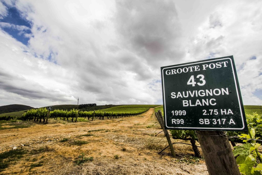 A landscape, focus on a sign saying "Groote Post 43, Sauvignon Blanc"