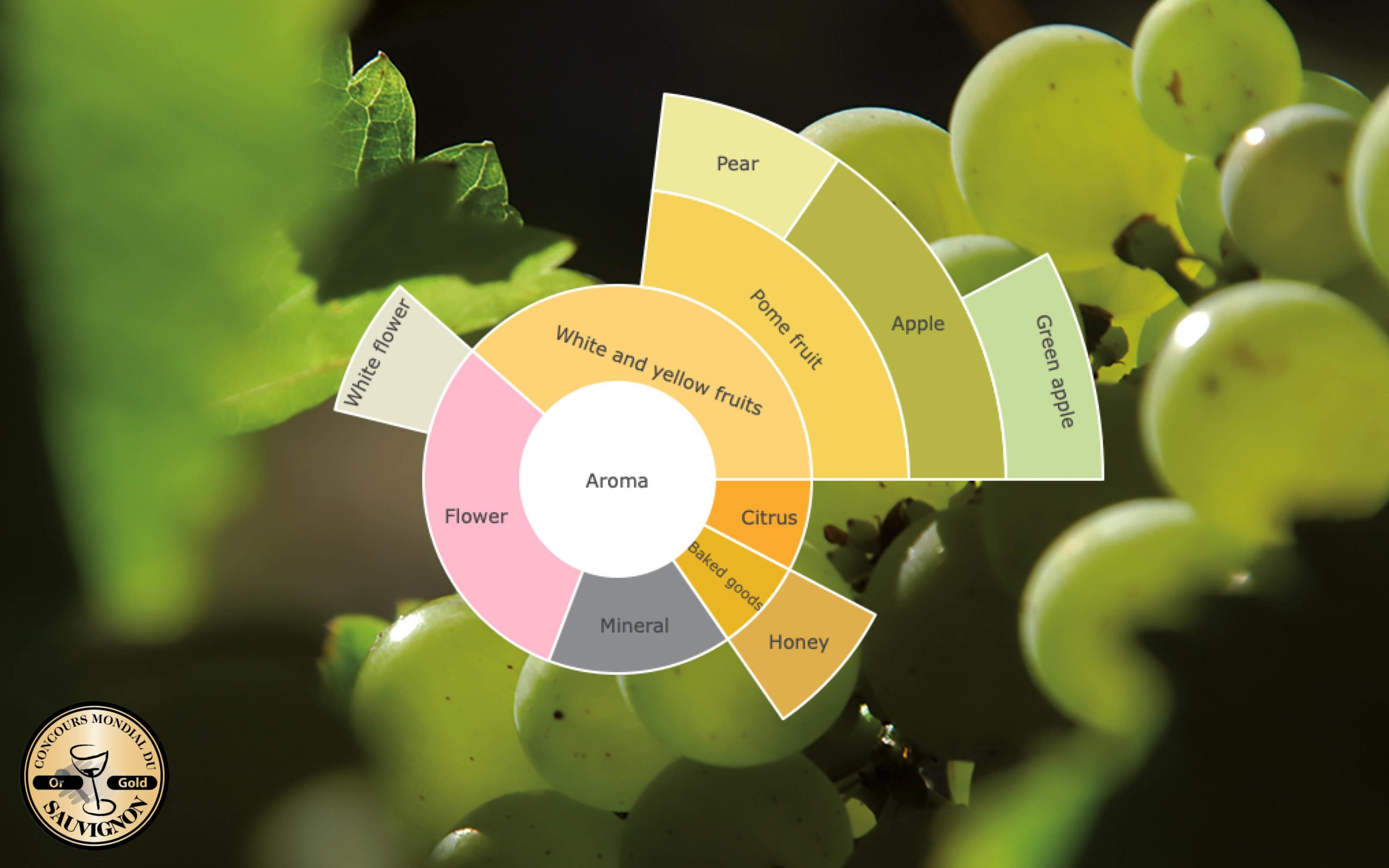 Tapping into the versatility of Sauvignon
