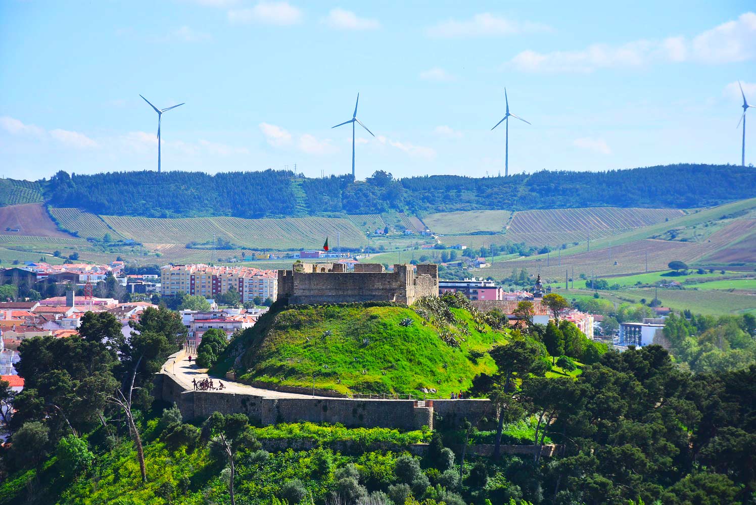 The Portuguese town of Torres Vedras will host the 2022 Concours Mondial du Sauvignon