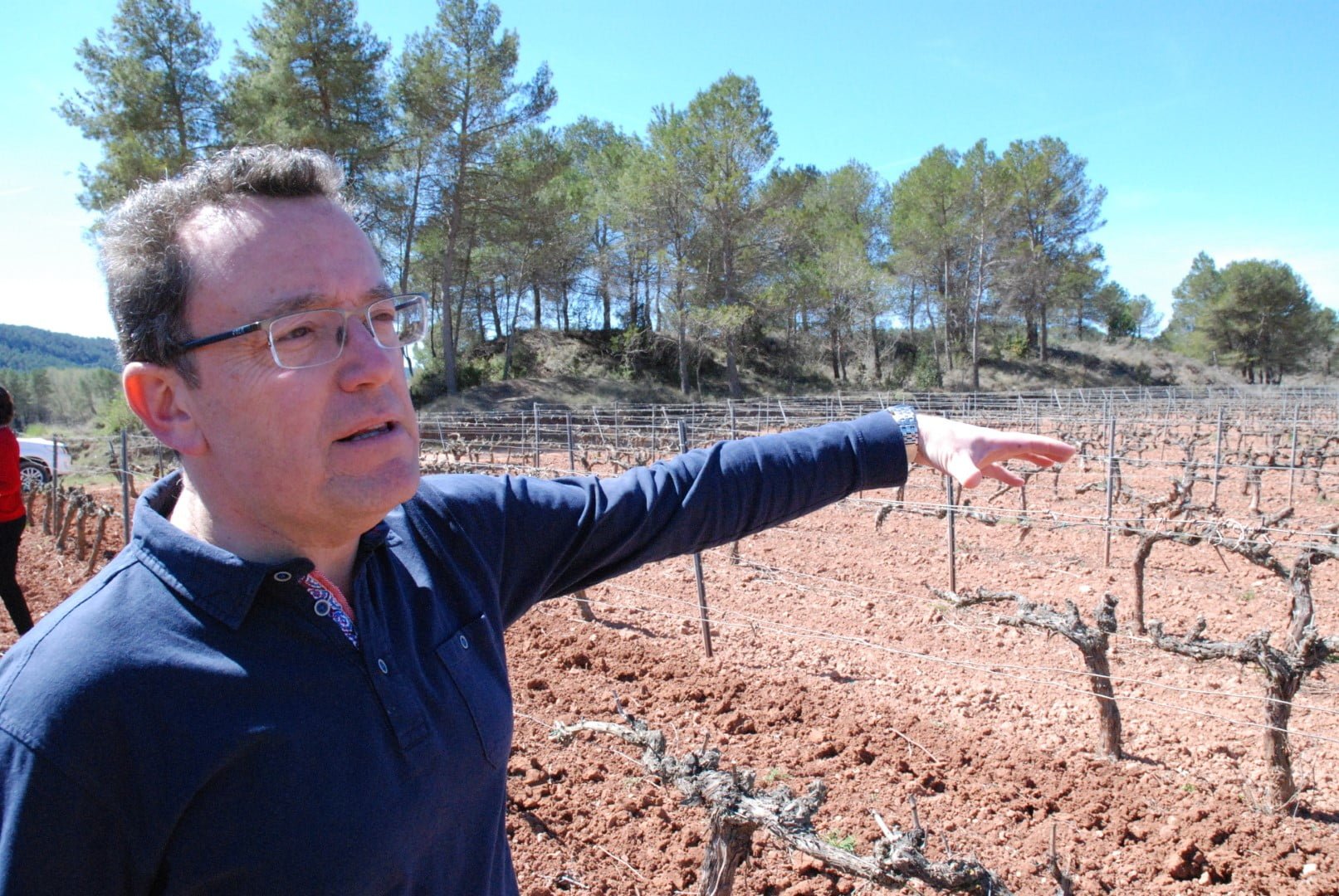 Fransola or Sauvignon in the unlikely setting of the Penedès region