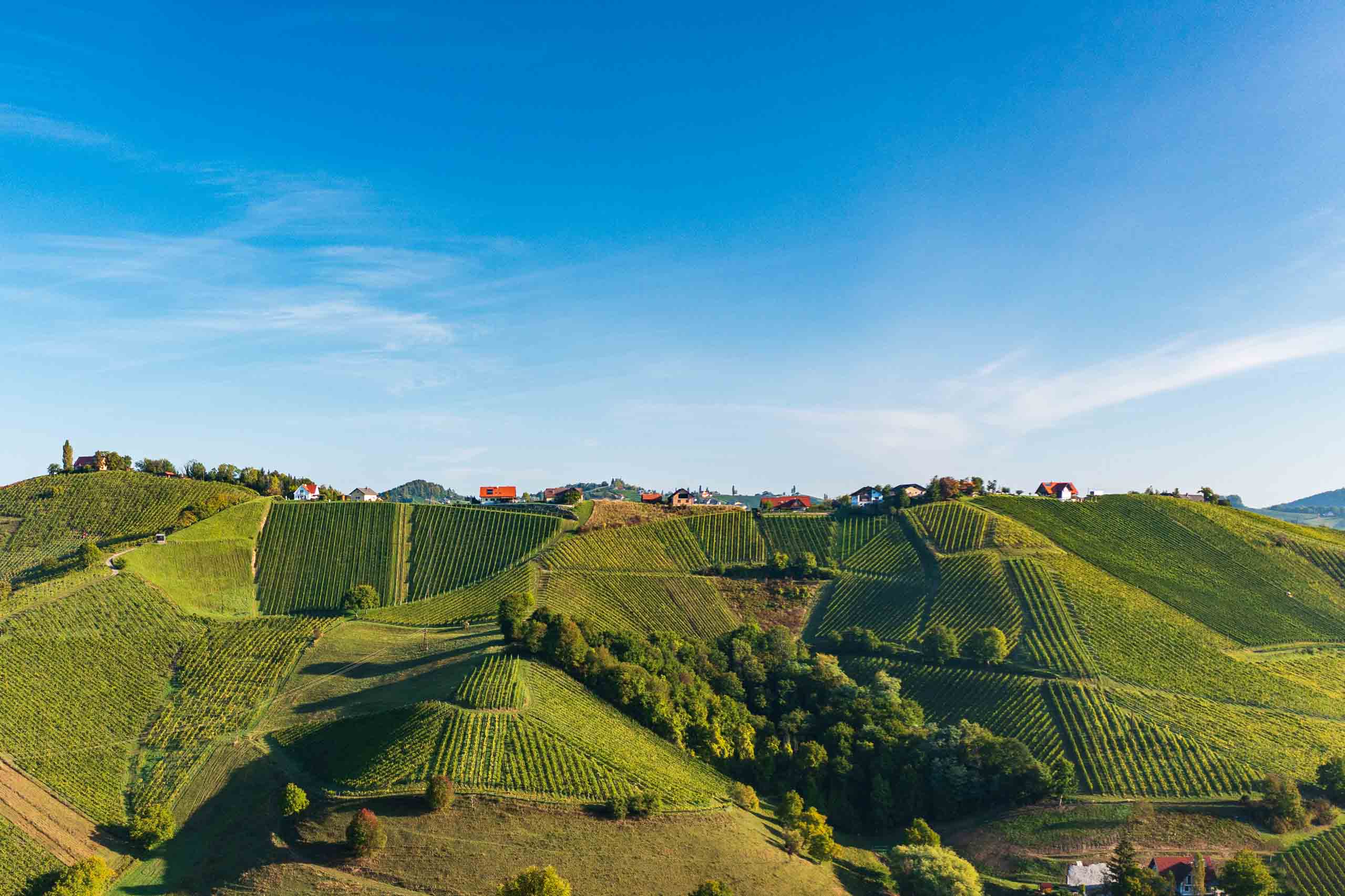 Picture of a Steiermark landscape with vines and houses on hills and a big blue sky on the second plan