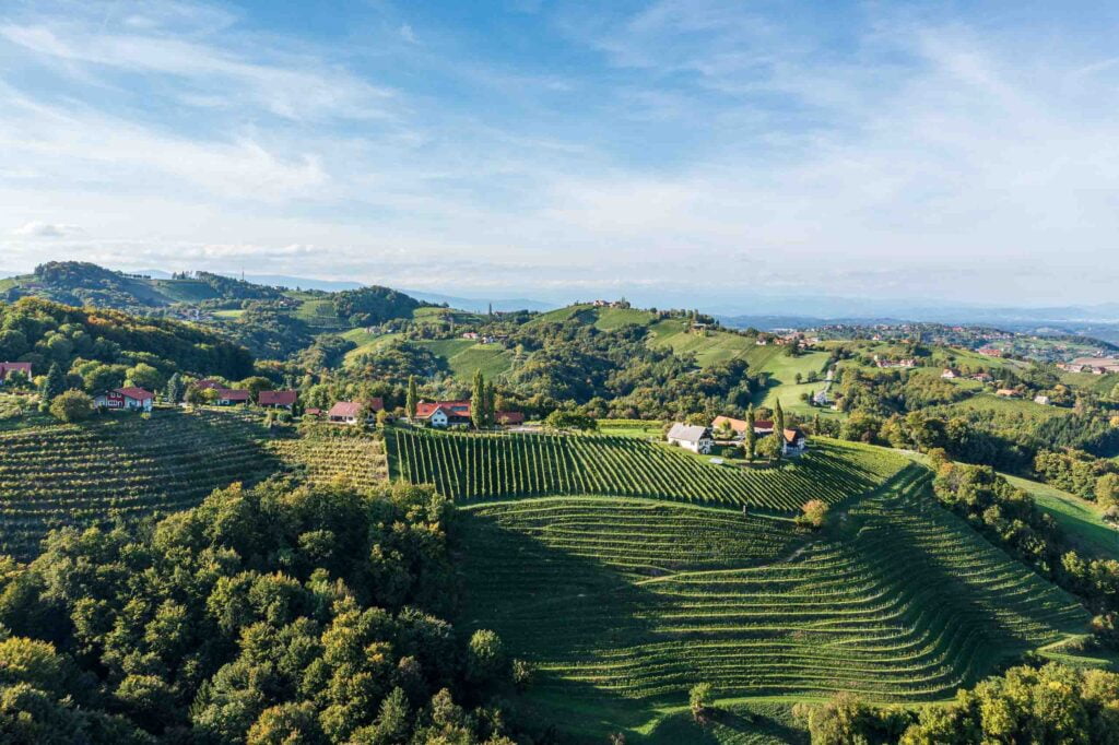 Picture of a Steiermark landscape with vines and houses on hills