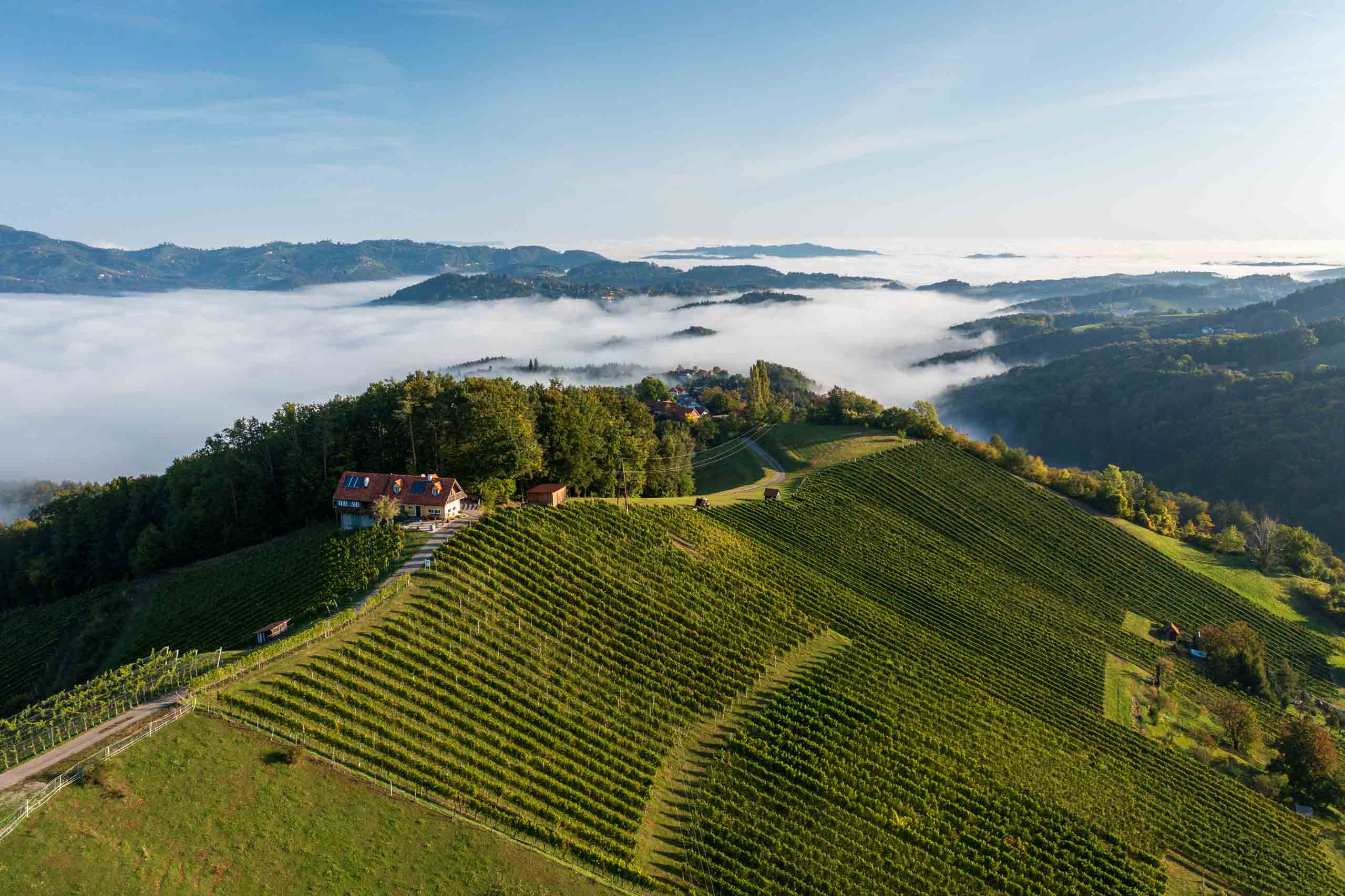 A picure of a landscape in Steiermark. There are vines and houses on hills. A low layer of clouds is covering parts of the hills.