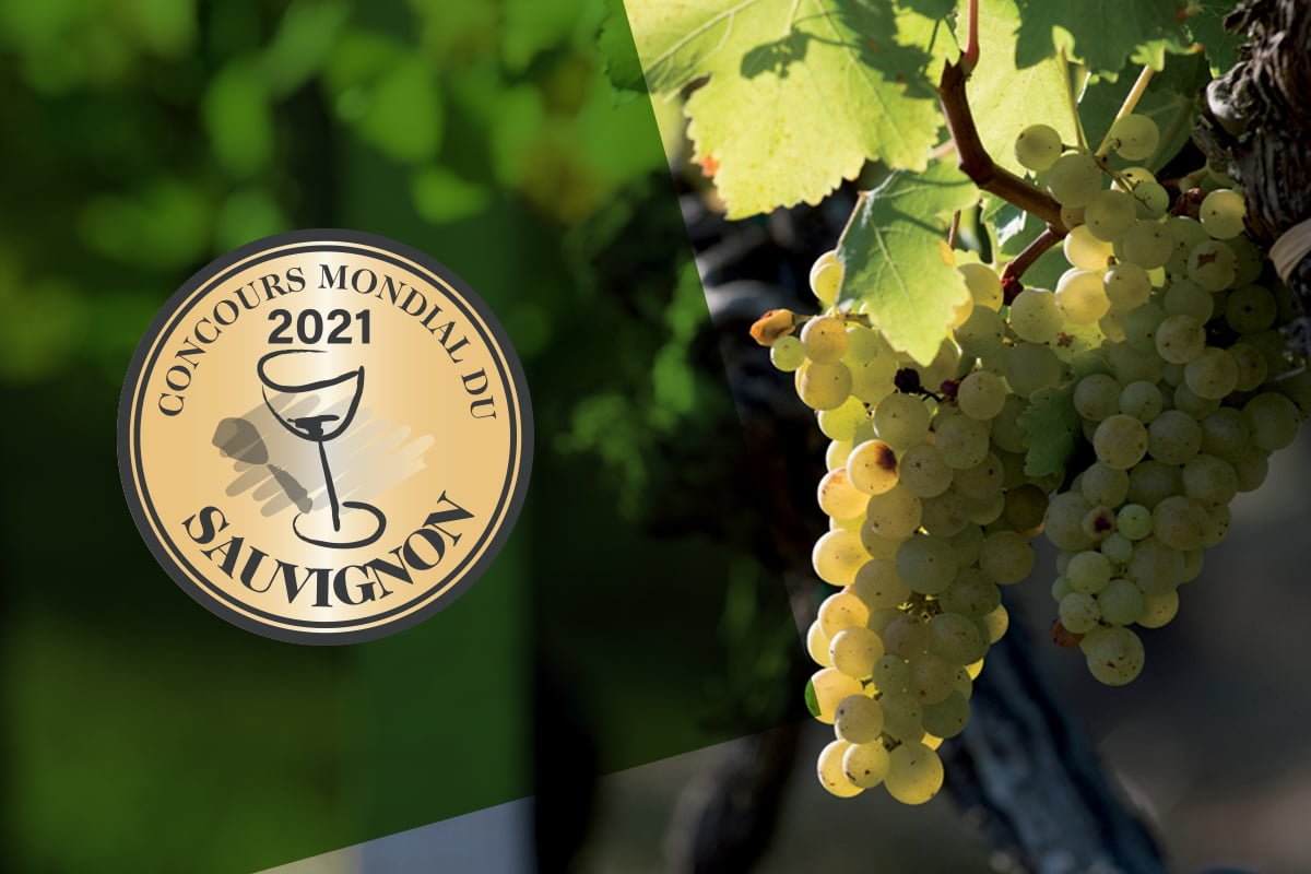 The Concours Mondial du Sauvignon will take place in Brussels in 2021
