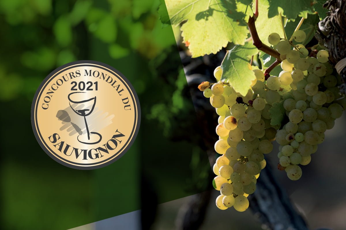 Il Concours Mondial du Sauvignon si svolgerà a Bruxelles nel 2021