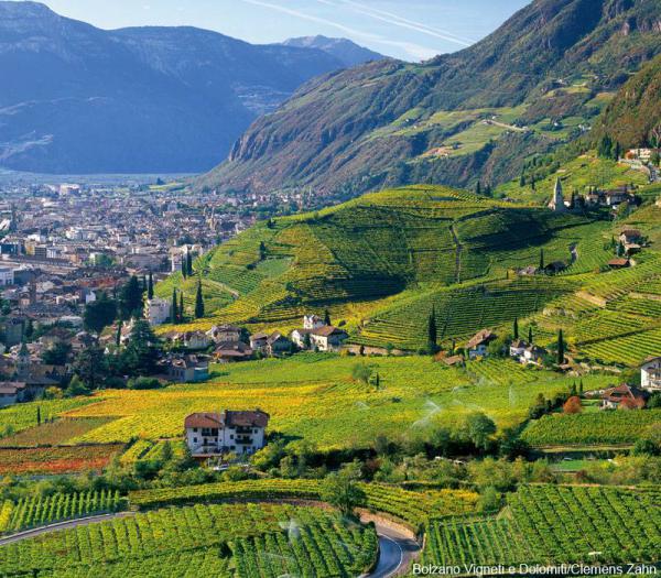Sauvignon blanc has gradually made its mark on Italy