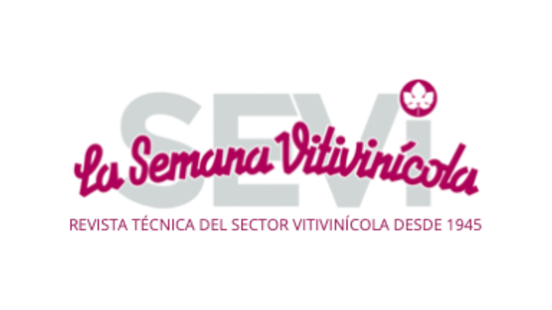 La 17ª edición de Sauvignon Selection celebrará la diversidad y excelencia de la Sauvignon Blanc en Croacia