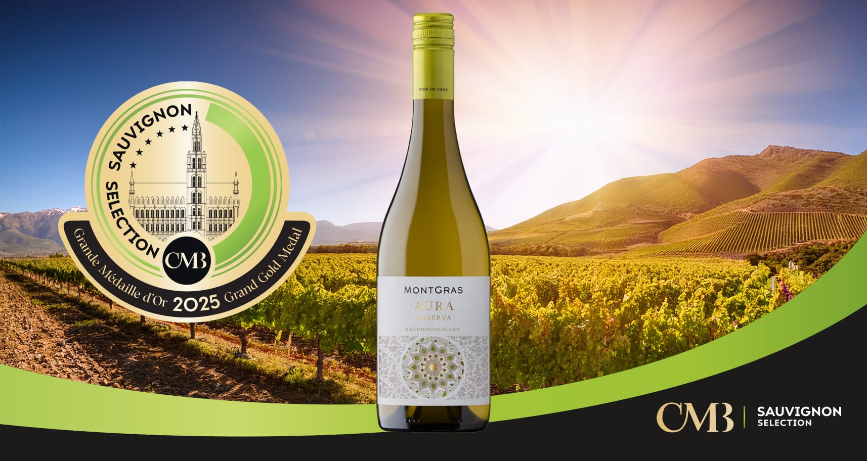 Sauvignon Selection 2025: Austria, New Zealand, and South Africa deliver, Chile surprises